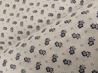 Obrázek produktu pro Plátno bavlněné, modrotisk na bílé. , metráž, látky / 50cm
