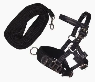 Produktbild von Longierset -Hobby Horsing- 9100 schwarz