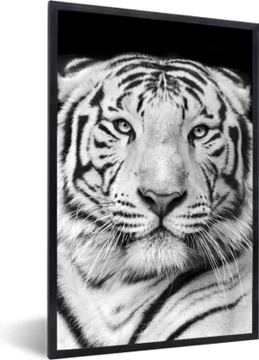 Produktbild von MuchoWow® Gerahmtes Poster Tiger - Schwarz - Weiß - Porträt - Tiere 60x90 cm - Poster mit Schwarzem Bilderrahmen Wandposter Rahmen Foto Bilder - Kunst