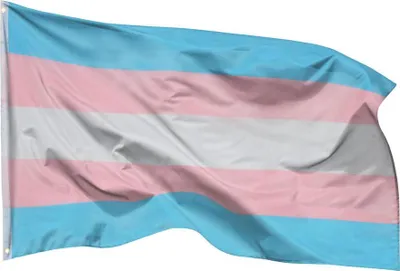 Produktbild von PHENO FLAGS Transgender Pride Flagge LGBT 90 x 150 cm Transsexuell Fahne 2 Ösen