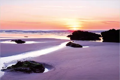 Produktbild von Wallario Poster - Sonnenuntergang am einsamen Strand, Kunstdruck Größe: 61 x 91,50 cm