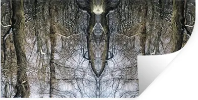 Obrázok produktu pre MuchoWow® Nálepka na stenu - Strom - Umenie - Psychedelické - 80x40cm - Samolepiaca a polohovateľná