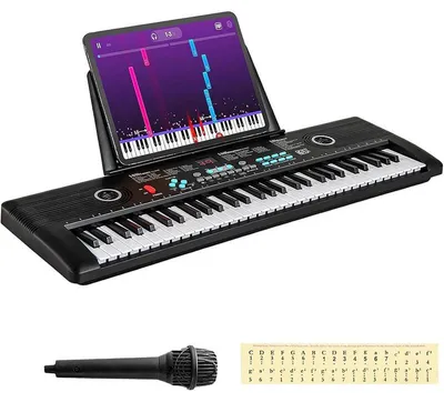 Obrázek produktu pro Elektrické klávesové piano s duálním napájením B0FD73SHNM, 61klávesové, 100 rytmů a tónů, černé