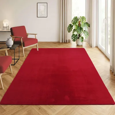 Image de Homebyhome Tapis Lavable à Poils Courts Antidérapant et Doux Design Uni Moderne pour Salon et Chambre à Coucher, Taille: 160x220 cm