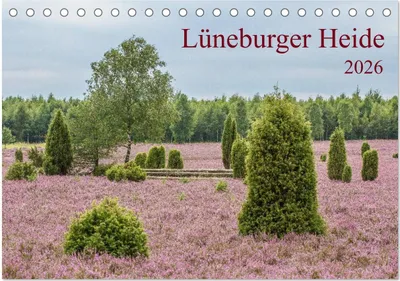 Produktbild von Lüneburger Heide (Tischkalender 2026 DIN A5 quer), CALVENDO Monatskalender