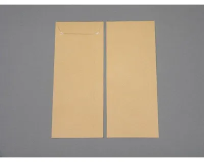Produktbild von Versandtaschen 127x305mm 115g/qm haftklebend VE=250 Stück braun