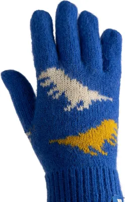 Productafbeelding van Trespass - Kinderhandschoenen "Casper" TP6697 (maat 116-122) (Blauw)