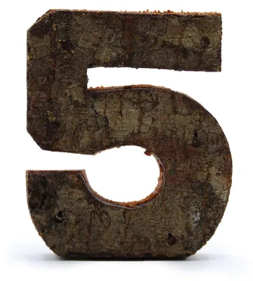 Produktbild von Rindenstück – "5" (12) – Klein, 7 cm