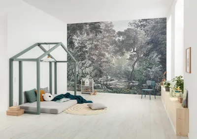 Produktbild von Vlies Fototapete - Wood Wide Web  - Größe 400 x 250 cm