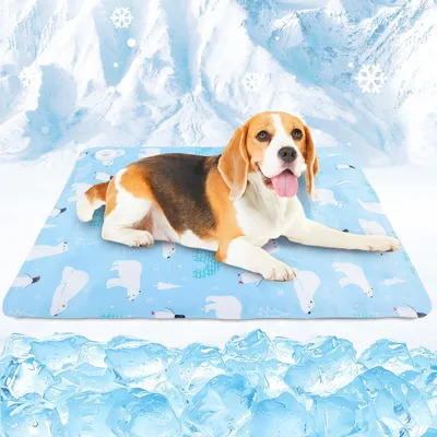 Kühlmatte für Haustiere, 60 x 90 cm, selbstkühlend, für Hunde & Katzen