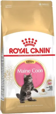 Obrázek produktu pro Royal Canin Maine Coon Kitten, Kotě, Mainská mývalí kočka, Drůbež, Rýže, 4 kg, Včetně antioxidantů