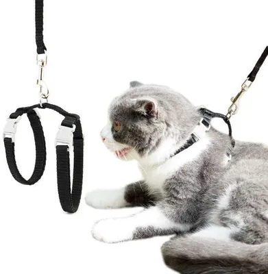 Immagine prodotto di Pettorina per gatti grande personalizzabile con guinzaglio e moschettone per la sicurezza