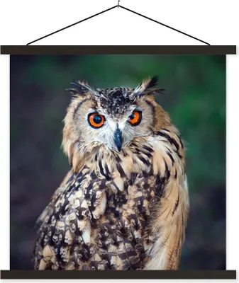 Produktbild von MuchoWow® Textilposter Eule 120x120 cm mit schwarzem Rahmen - Aufhängungsset