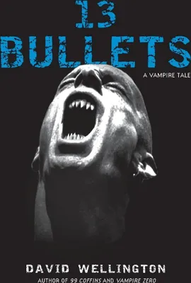 Produktbild von 13 Bullets