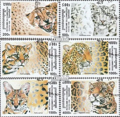 Produktbild von Briefmarken Kambodscha 1998 Mi 1878-1883 (kompl.Ausg.) gestempelt Raubkatzen