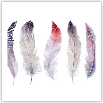 Produktbild von Poster - Poster ohne Rahmen - Feder Tier Vogel Komposition - 60x60 cm - Wand Bild - Wanddeko - Wandbilder - Kunstposter - Wandposter - Bilder - Kunstdruck - Wanddekoration - Wandbild - P2XAC60x60-2951