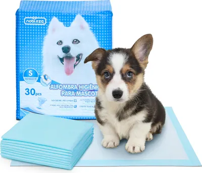 Produktbild von Nobleza 30x Ultra saugfähige Hunde Trainingsunterlagen, Welpenunterlage Welpen Toilettenmatte, 40 * 60cm, 30 Stück
