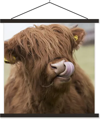 Produktbild von MuchoWow® Textilposter Schottisches Hochlandrind - Braun - Tiere 90x90 cm mit schwarzem Rahmen - Magnetisches