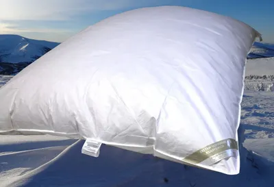 Produktbild von Betten Hofmann Ballonbett Oberbett Federbett Schüttelbett 30% Daunen 135x200 warm 2000g