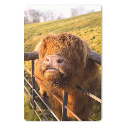 Produktbild von MuchoWow® Mauspad Mousepad Scottish Highlander - Zaun - Gras 18x27 cm - Mousepads - Maus Mat - Pad - Mausunterlage