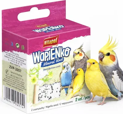 Zdjęcie produktu dla Vitapol Wapienko - Kostka wapienna z czarnuszką dla papug 35g