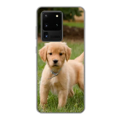 Produktbild von MuchoWow® Handyhülle Schutzhülle Hülle für Samsung Galaxy S20 Ultra Golden Retriever Welpe im grünen Gras Silikon Softcase Handy Hülle - Karteninhaber