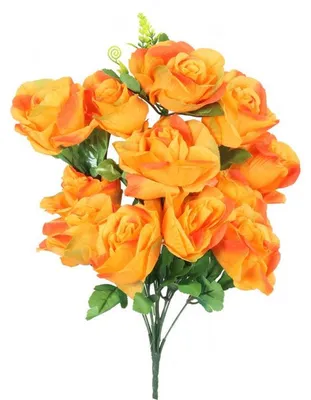 Immagine prodotto di Un bouquet di 12 rose arancioni, tutte in fiore