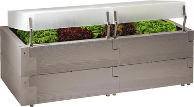 A raised garden bed with a transparent lid, filled with various types of lettuce.