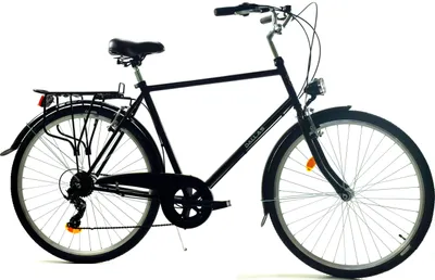 Zdjęcie produktu dla Rower Dallas Holland City 28" 7spd Męski - czarny