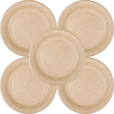 Produktbild von 100 Pappteller natur Kraftkarton be green Ø 23cm Eco braun