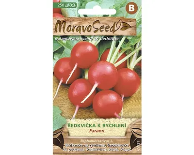 Obrázok produktu pre Reďkovka na rýchlenie FARAON MoravoSeed