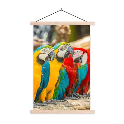 Produktbild von MuchoWow® Textilposter Vögel - Papagei - Tropisch - Natur 120x180 cm mit holzfarbenen Rahmen - Textil-Plakat