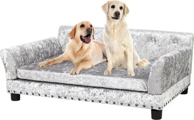 Zdjęcie produktu dla Sofa dla zwierząt domowych, wykonane z trwałych materiałów, stylowy design, kolor srebrny, rozmiar L (95x70x40 cm)