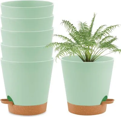 Produktbild von Selbstwassern-Set aus Kunststoff - 6er-Pack - grün - 16,5 cm