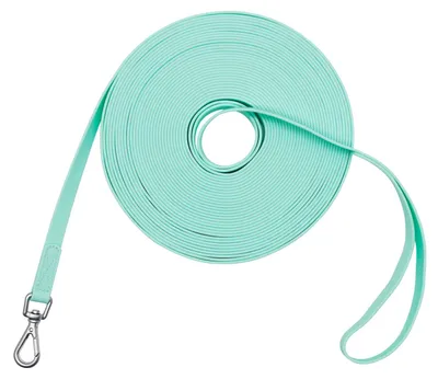 Wasserfeste Hundeleine, Trainingsleine, 30 m, Mintgrün, PVC