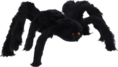 Immagine prodotto di Ragno nero 30 cm