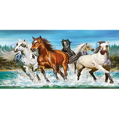 Image de Castorland Call of Nature, Puzzle 2000 Teile