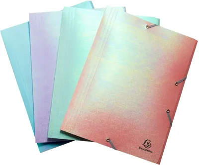 Produktbild von Exacompta 55130E, Klappenordner, A4, Polypropylen (PP), Gemischte Farben, 250 Blätter, 35 cm