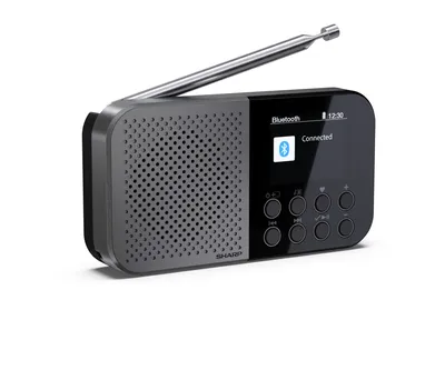 Produktbild von Sharp DR-P520 Osaka UKW / DAB+ Radio schwarz/grau