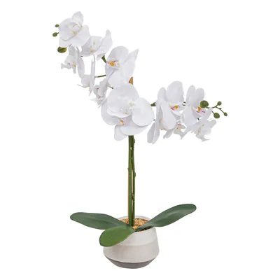 Produktbild von Künstliche Orchidee weiß in Blumentopf CLERA, 52 cm