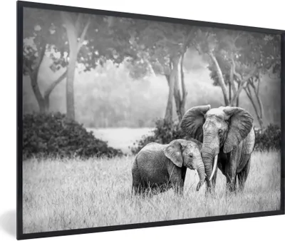 Produktbild von MuchoWow® Gerahmtes Poster Baby-Elefant mit ihrer Mutter - schwarz und weiß 90x60 cm - Poster mit Schwarzem Bilderrahmen Wandposter Rahmen Foto Bilder - Fotorahmen - Foto-Plakat