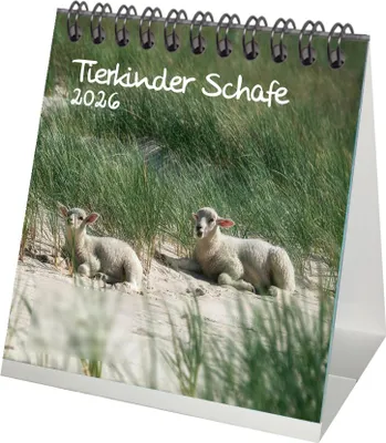 Produktbild von Tierkinder Schafe Tischkalender 10cm x 10cm für 2026 Schafe und Lämmchen - Set-Inhalt: 1x Kalender 1x Weihnachtsanhänger 1x Grußanhänger (gesamt 3 Teile)