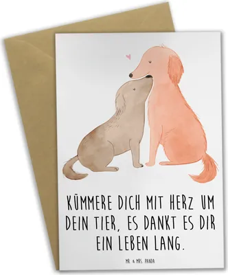 Produktbild von Mr. & Mrs. Panda Grußkarte Haustiere pflegen - Weiß - Geschenk, Zuneigung, Trost, osterkarten, Lebensfreude, Grußkarten, Tierfreunde, weihnachtskarten, Zuversicht