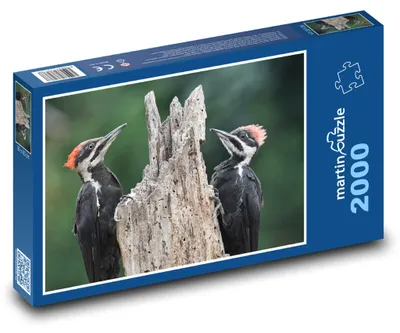 Obrázek produktu pro martinpuzzle - Puzzle 2000 - Datel - pták