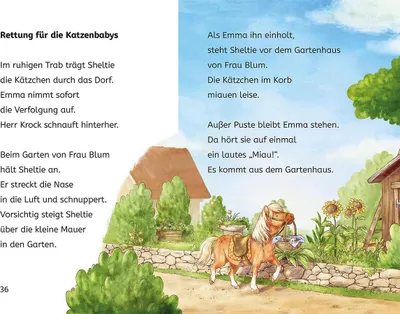 Obrázek produktu pro Sheltie, Bücherhelden 1. Klasse, Sheltie und die Katzenbabys