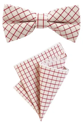 Produktbild von DonDon Herren Einstecktuch 23 x 23 cm im 2er Set mit farblich passender Fliege 12 x 6 cm weiß-rot kariert Karomuster Baumwolle