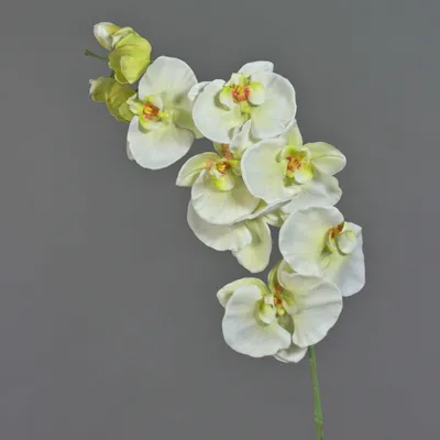 Produktbild von artplants.de Kunststoff Phalaenopsis Orchidee WESA, weiß-grün, 100cm - Künstlicher Orchideenzweig