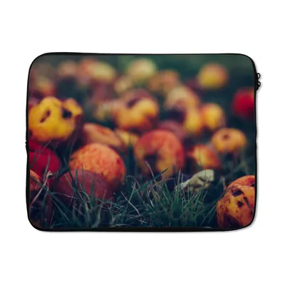 Produktbild von MuchoWow® Laptop Hülle 15 Zoll Landdekoration - Herbst - Apfel - Obst Laptoptasche - Laptoptasche - Sleeve - Rundum-Schutz