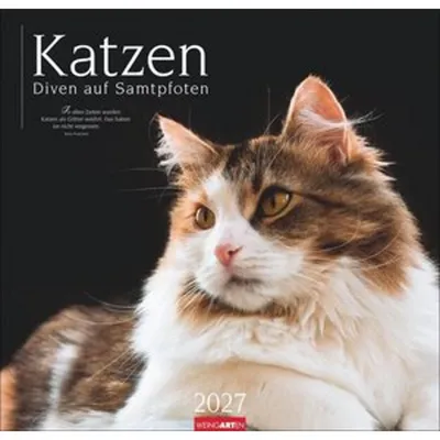 Produktbild von Katzen - Diven auf Samtpfoten Kalender 2027 - Diven auf Samtpfoten