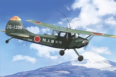 Produktbild von 1/32 L-19/O-1 Bird Dog Roden